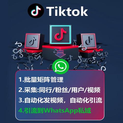 tiktok带货涨粉,TikTok带货涨粉策略:打造影响力与实现转化的全方位指南!
