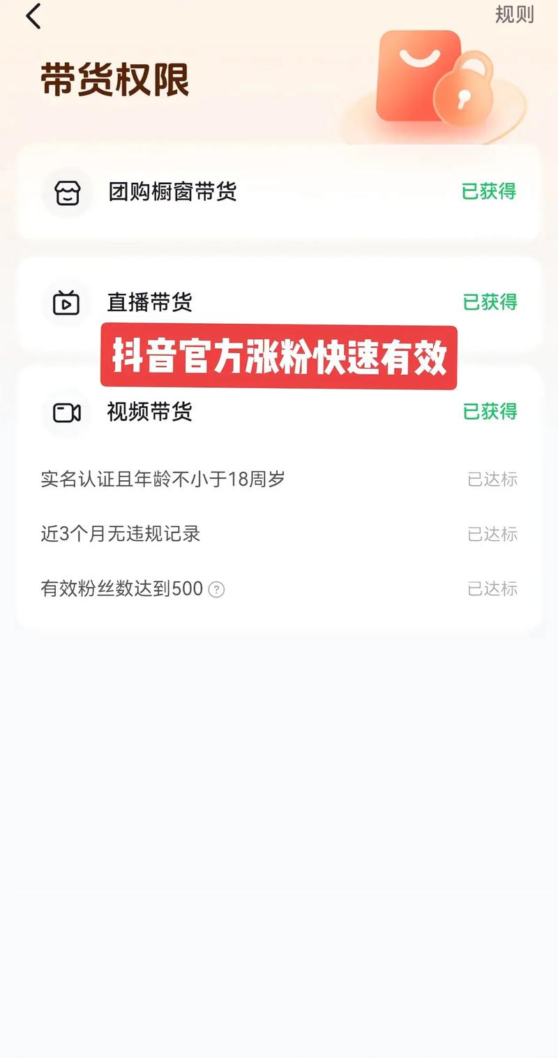 抖音检测有效粉丝,抖音检测有效粉丝的重要性及策略!