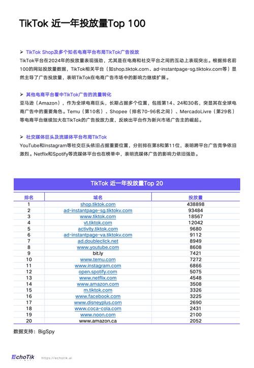 tiktok投流涨粉价格,TikTok投流涨粉价格：深度解析与策略建议!