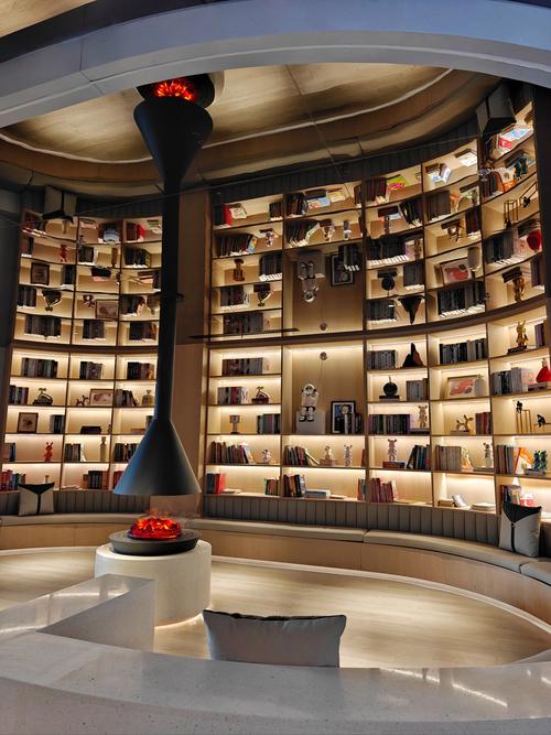 书屋自助下单,探究书屋自助下单模式的未来及其深层影响!