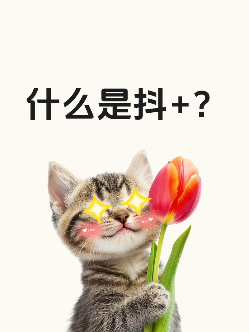 抖音买的抖加是不是假粉,抖音买的“抖加”粉丝：真实还是假象？!