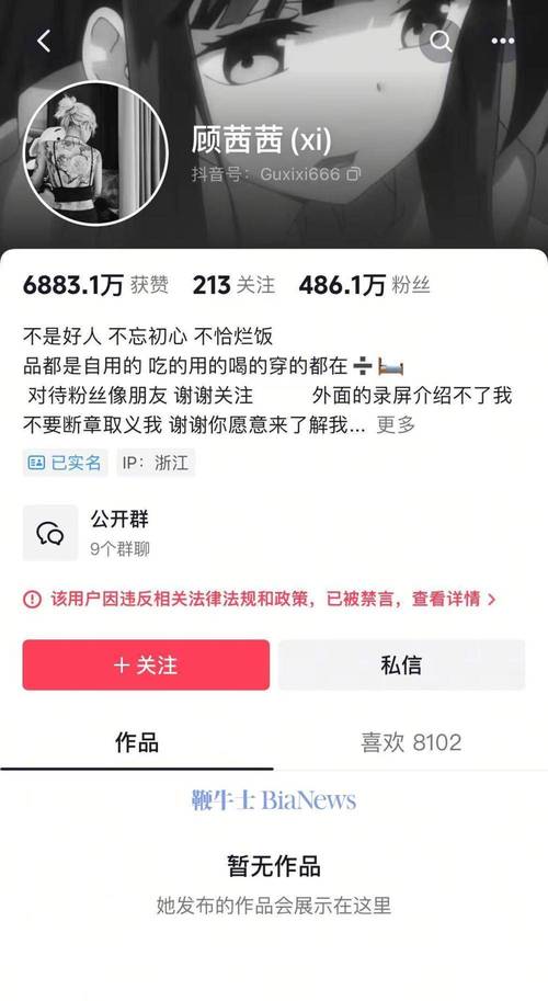 买抖音粉丝7元1000个,探究抖音粉丝购买现象:价值背后的真相与反思!