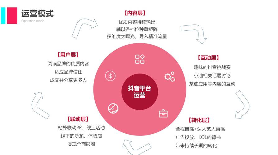 抖音粉丝业务app分享,抖音粉丝业务App分享：助力个人与品牌增长的有效工具!