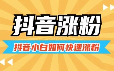 刷抖音涨粉,**通过优化内容与创新策略，实现抖音涨粉的飞跃**!