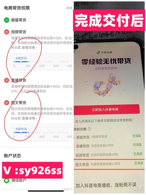 解锁抖音流量密码：千川涨粉，轻松掌握主动权！,解锁抖音流量密码：探索千川涨粉之道，掌握运营主动权!