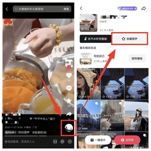 抖音买三十万粉,购买抖音粉丝与建设良好的社交形象 —— 为成长倾注心思的努力历程故事背景概述!