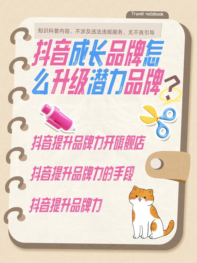 抖音买三十万粉,购买抖音粉丝与建设良好的社交形象 —— 为成长倾注心思的努力历程故事背景概述!
