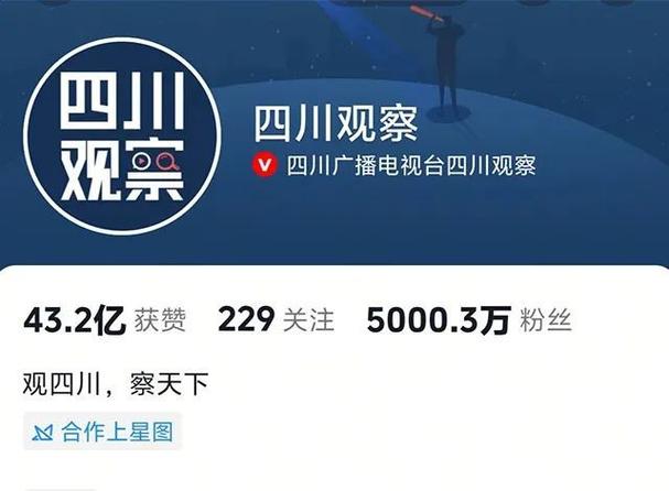 抖音粉丝粉丝业务,抖音粉丝粉丝业务:深度探究与理性思考!