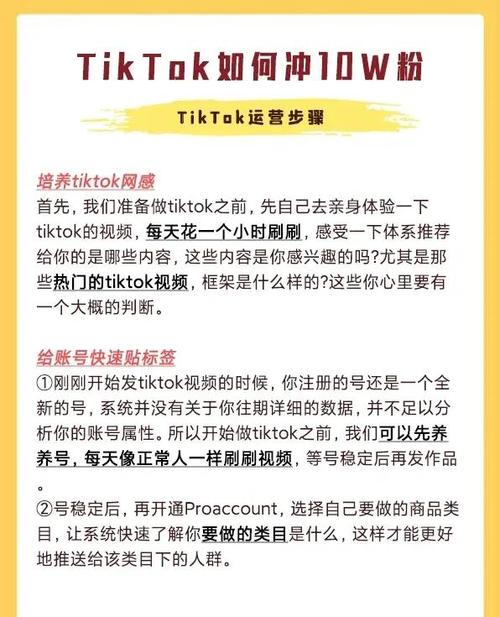 揭秘TikTok自助刷粉的神秘面纱,轻松吸引粉丝关注!,揭秘TikTok自助刷粉的神秘面纱:策略、技巧与影响!