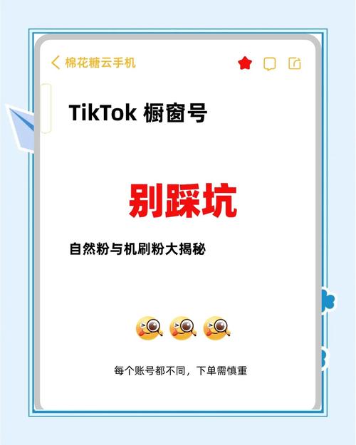 揭秘TikTok自助刷粉的神秘面纱,轻松吸引粉丝关注!,揭秘TikTok自助刷粉的神秘面纱:策略、技巧与影响!