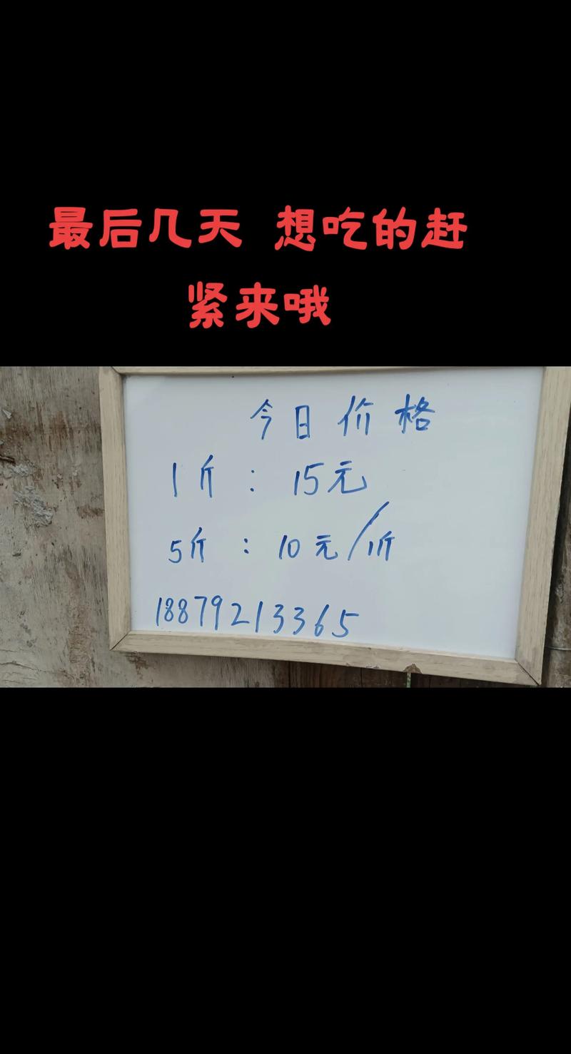 抖音粉丝业务下单便宜怎么回事呀