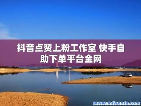 抖音音乐评论自助下单平台