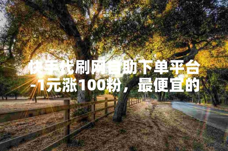 一粉自助下单平台