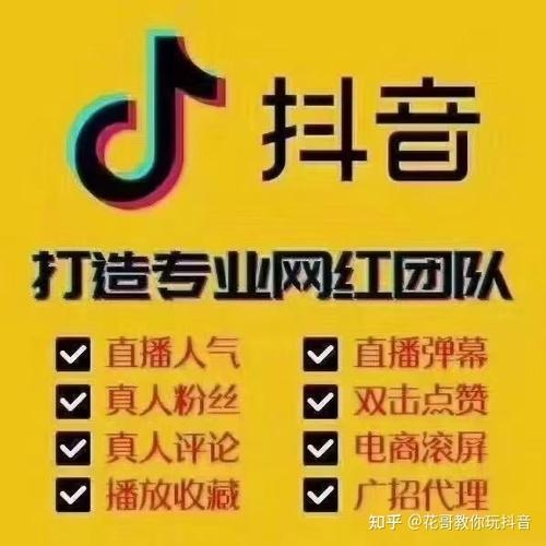 抖音加粉买,抖音加粉买的现象深度解析!