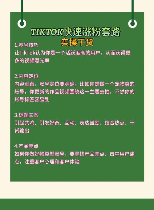 tiktok新手怎样快速涨粉,TikTok新手如何快速涨粉:策略与实践!