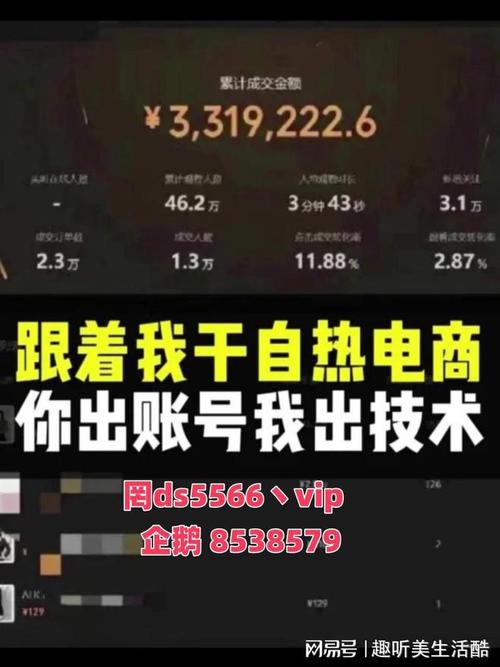 抖音粉丝业务24小时,抖音粉丝业务:全天候运营策略与成功案例剖析!
