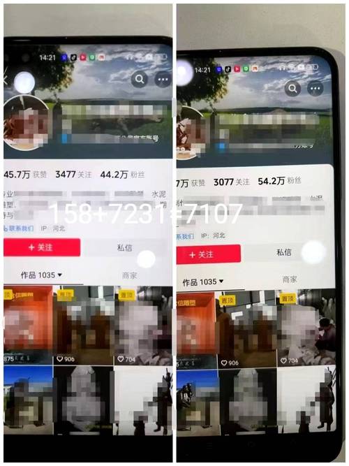 抖音粉丝业务24小时,抖音粉丝业务:全天候运营策略与成功案例剖析!