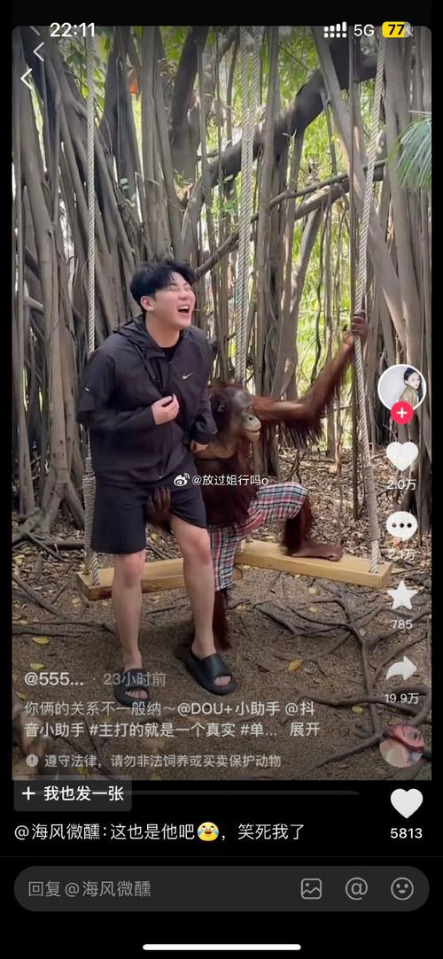 嗨客抖音刷评论