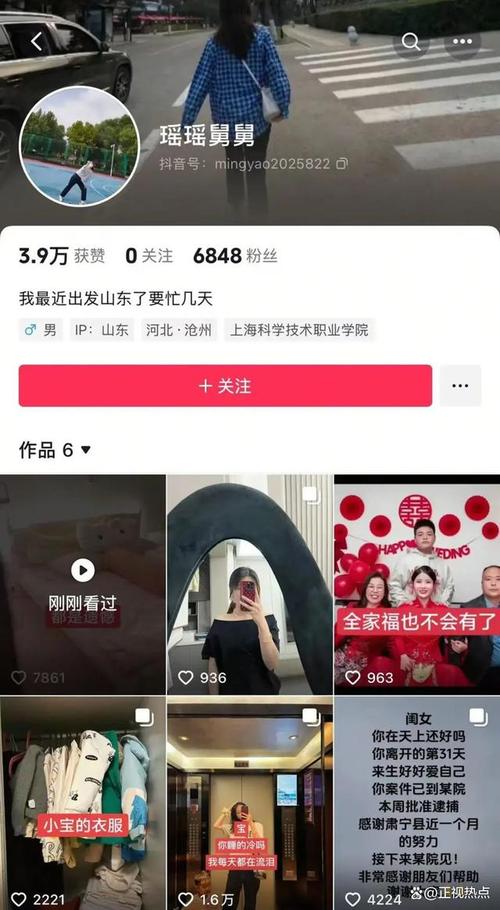 刷抖音粉的骗子,揭秘抖音粉丝增长背后的欺诈阴影：揭露刷粉丝骗子的真实面目!