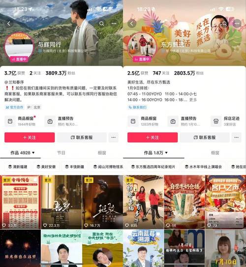 抖音真人粉丝购买,让你的直播人气爆棚