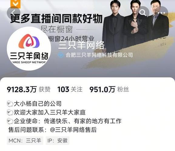 抖音真人粉丝购买,让你的直播人气爆棚