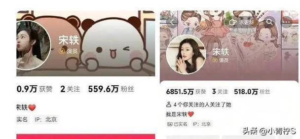 抖音真人粉丝购买,让你的创意内容火遍全网