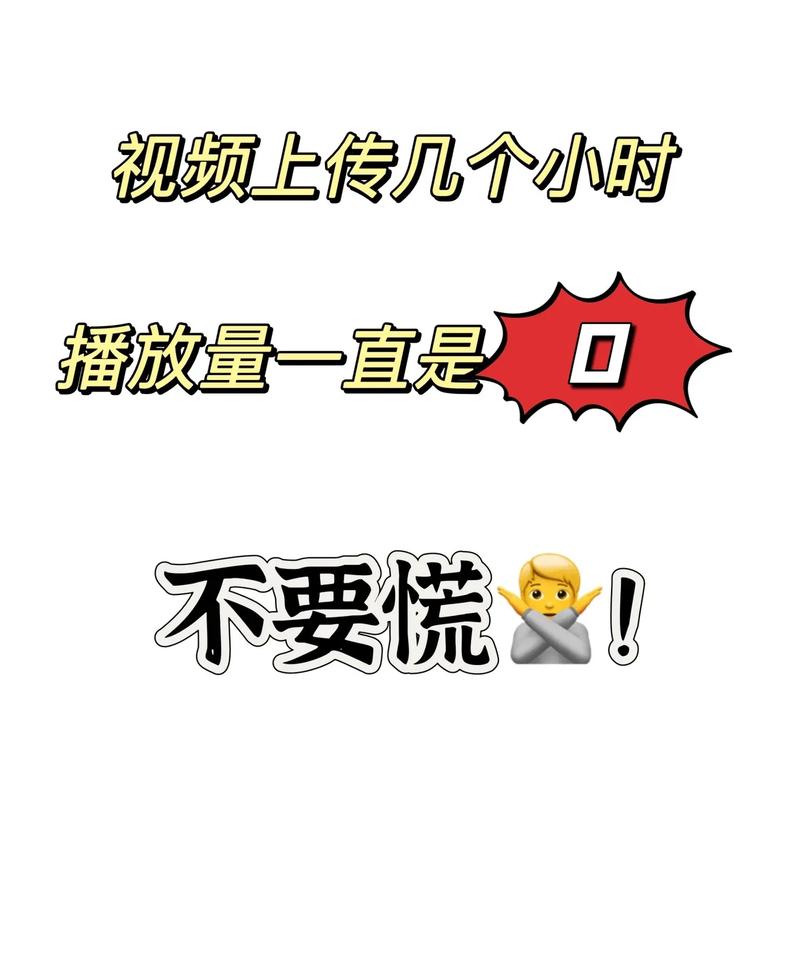 想要更多B站粉丝?试试这些有效的刷播放量策略吧