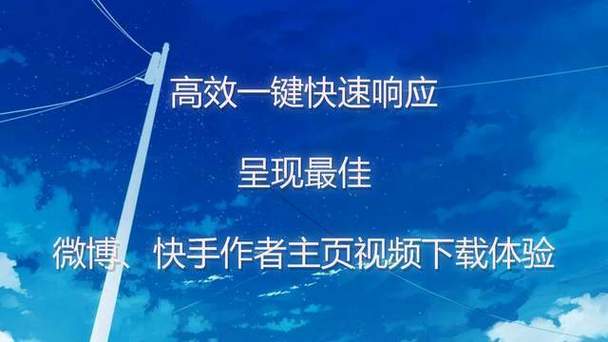 标题:解锁快手流量密码:点赞网站的高效利用与风险规避指南