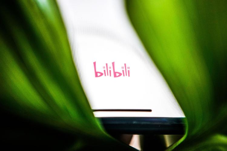 揭秘行业内幕:B站刷播放量平台的真相与效果解析