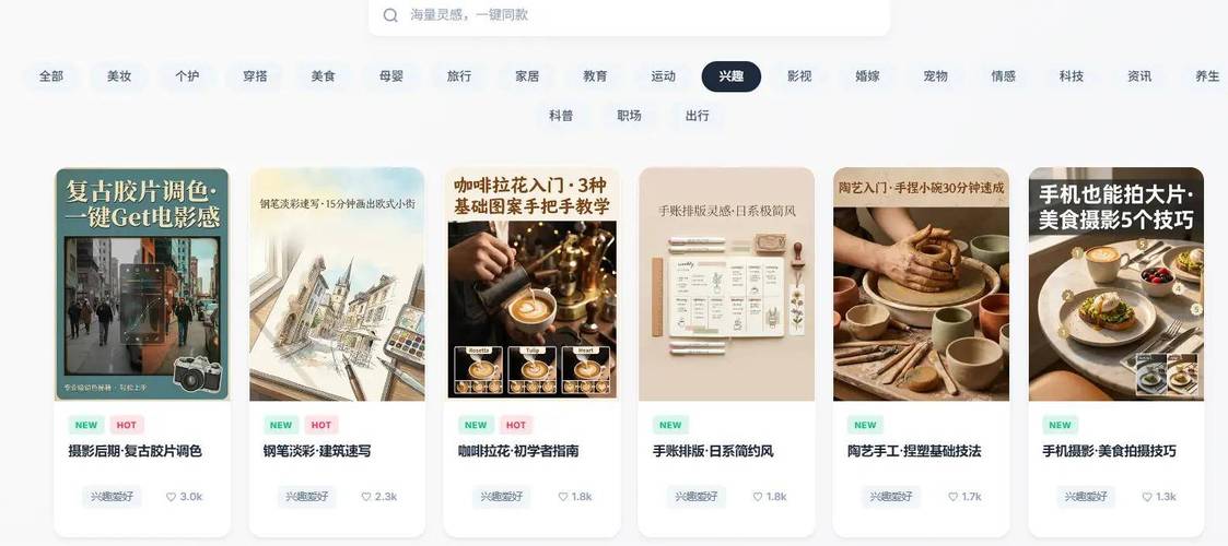 开启高效社交时代:一起探索小红书粉丝自助平台的魅力。