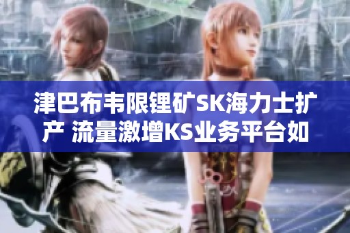 津巴布韦限锂矿SK海力士扩产 流量激增KS业务平台如何全天候自动接单