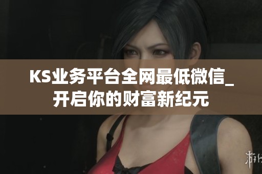 KS业务平台全网最低微信_开启你的财富新纪元