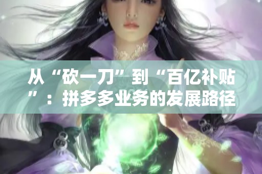 从“砍一刀”到“百亿补贴”：拼多多业务的发展路径能复制吗？