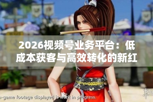 2026视频号业务平台：低成本获客与高效转化的新红利策略