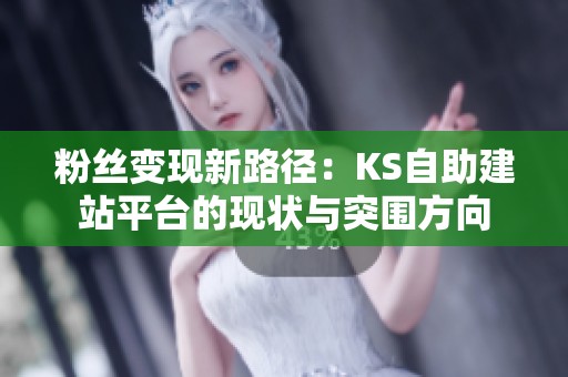 粉丝变现新路径：KS自助建站平台的现状与突围方向