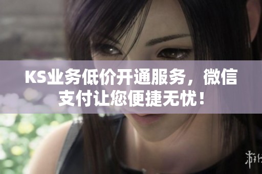 KS业务低价开通服务，微信支付让您便捷无忧！