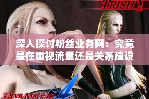 深入探讨粉丝业务网:究竟是在重视流量还是关系建设? 深入探讨粉丝业务网:究竟是在重视流量还是关系建设?