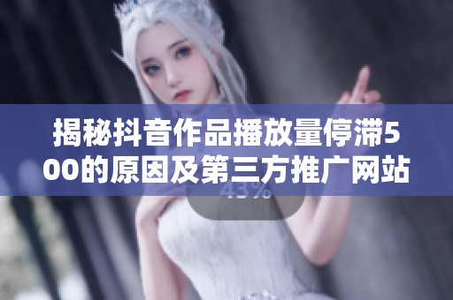 揭秘抖音作品播放量停滞500的原因及第三方推广网站的有效性分析