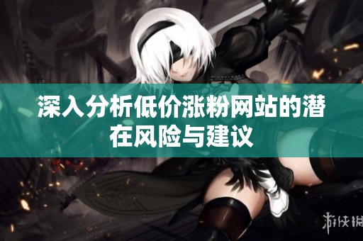 深入分析低价涨粉网站的潜在风险与建议 深入分析低价涨粉网站的潜在风险与建议