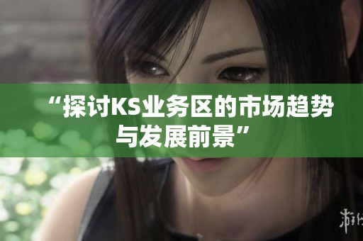 “探讨KS业务区的市场趋势与发展前景”