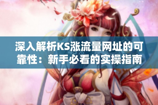深入解析KS涨流量网址的可靠性:新手必看的实操指南 深入解析KS涨流量网址的可靠性:新手必看的实操指南