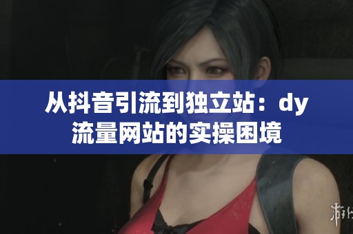 从抖音引流到独立站:dy流量网站的实操困境 从抖音引流到独立站:dy流量网站的实操困境
